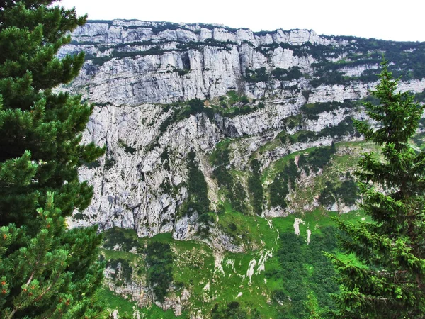 Landschap Omgeving Van Alpstein Bergketen Kanton Gallen Zwitserland — Stockfoto