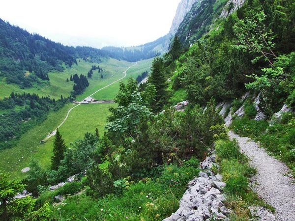 Пейзаж Окружающая Среда Горного Массива Альпштайн Кантон Санкт Галлен Швейцария — стоковое фото