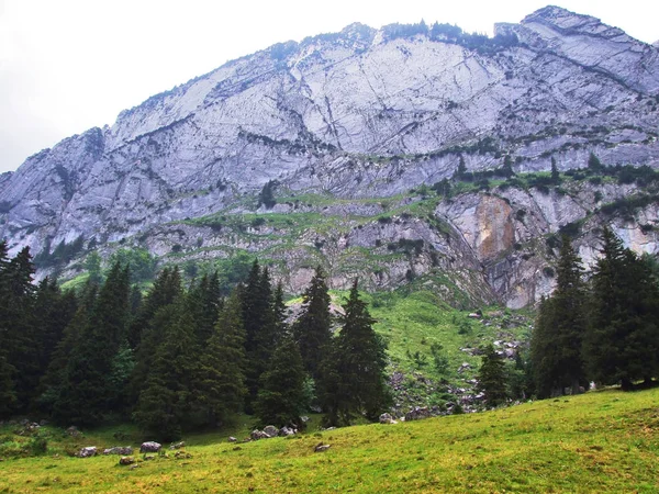 Landschap Omgeving Van Alpstein Bergketen Kanton Gallen Zwitserland — Stockfoto