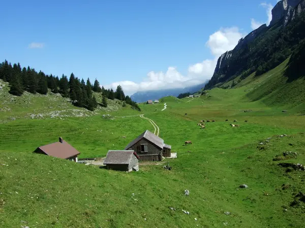 Gårdar Och Betesmarker Högplatå Bergskedjor Alpstein Canton Appenzell Innerrhoden Schweiz — Stockfoto