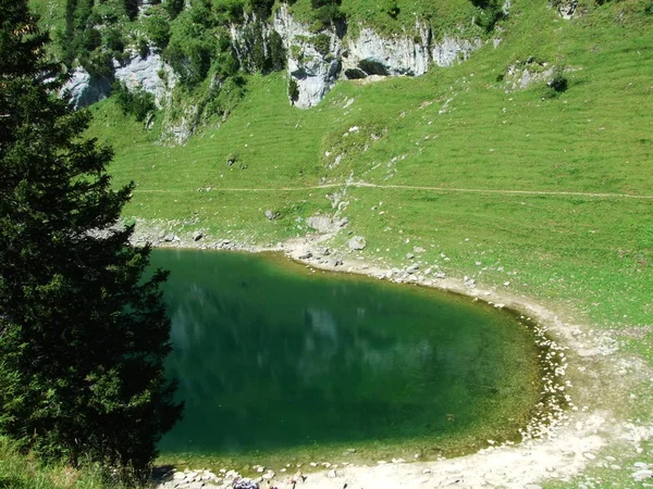 Danau Alpine Fahlensee Pegunungan Alpstein Kanton Appenzell Innerrhoden Swiss — Stok Foto