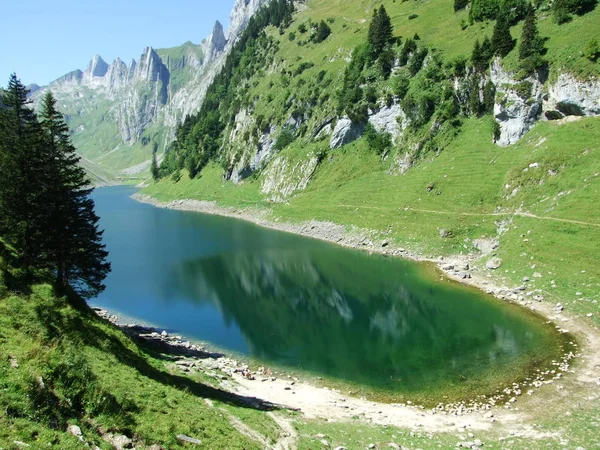 Alpské Jezero Fahlensee Pohoří Alpstein Kanton Appenzell Innerrhoden Švýcarsko — Stock fotografie