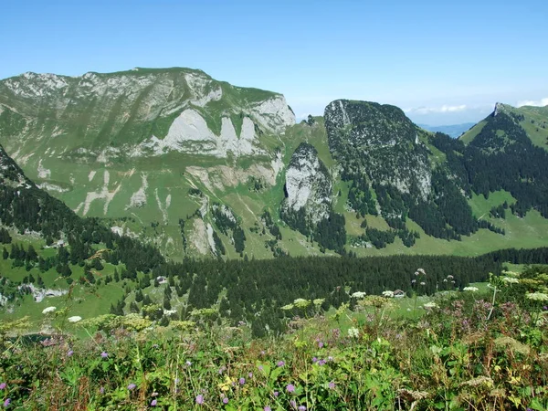 Visa Till Topparna Fahlenalp Över Sjön Fahlensee Berget Massa Alpstein — Stockfoto