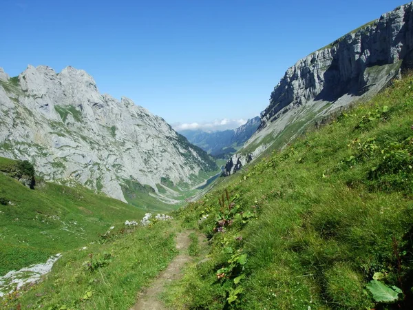 Blick Auf Die Gipfel Der Fahlenalp Über Den Fahlensee Der — Stockfoto