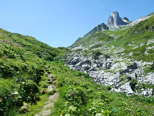 Blick Auf Den Gipfelaltmann Der Bergmasse Alpstein Kanton Appenzell Innerrhoden — Stockfoto