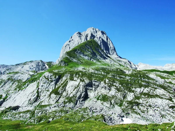 Переглянути Пік Альтман Гірських Масового Alpstein Кантону Аппенцелль Innerrhoden Швейцарія — стокове фото