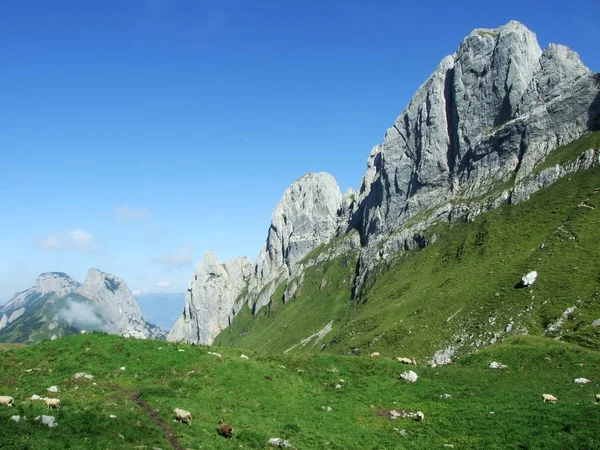 Blick Auf Den Chruzberg Alpstein Kanton Appenzell Innerrhoden Schweiz — Stockfoto