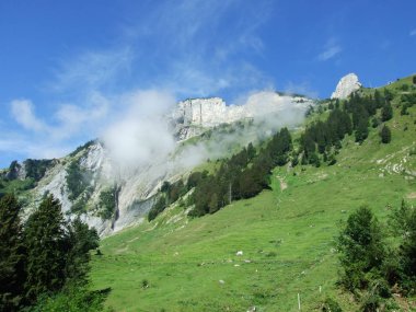 Peyzaj ve çevre Alpstein dağ silsilesi - Canton St. Gallen, İsviçre