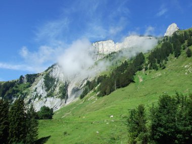 Peyzaj ve çevre Alpstein dağ silsilesi - Canton St. Gallen, İsviçre