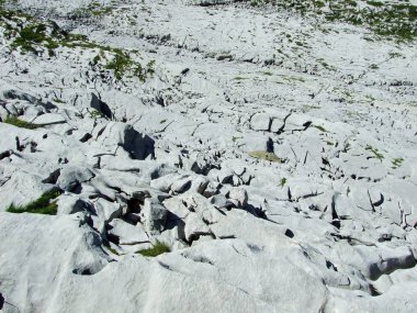 Peyzaj ve çevre Alpstein dağ silsilesi - Appenzell Innerrhoden Canton, İsviçre