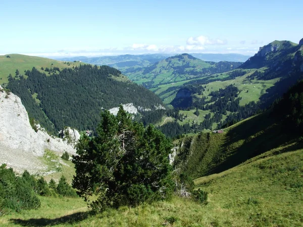 Paisaje Entorno Cordillera Alpstein Cantón Appenzell Innerrhoden Suiza —  Fotos de Stock