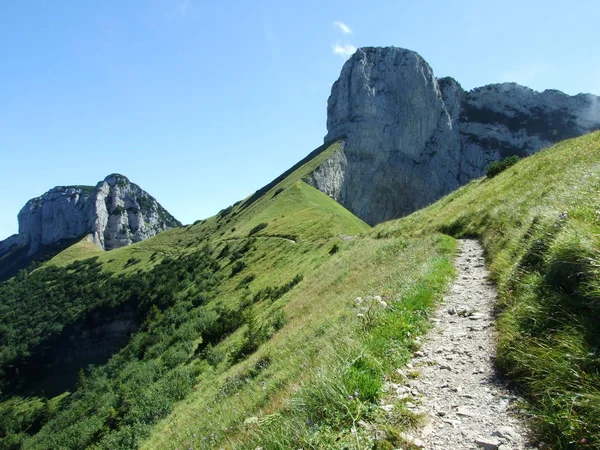 Landschaft Und Umwelt Des Alpsteingebirges Kanton Appenzell Innerrhoden Schweiz — Stockfoto