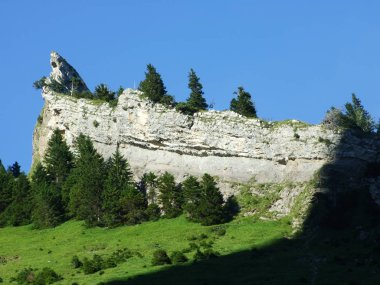 Peyzaj ve çevre Alpstein dağ silsilesi - Canton St. Gallen, İsviçre