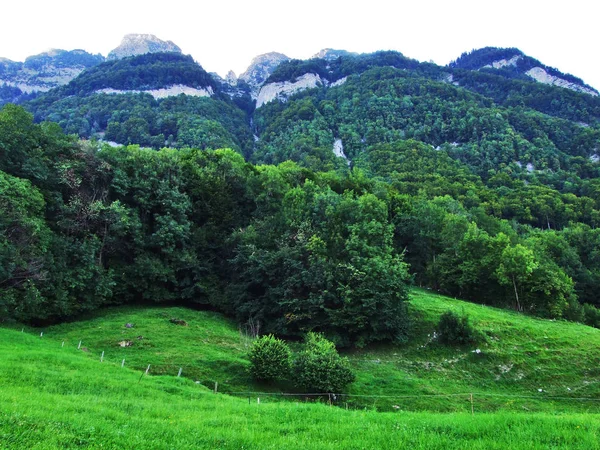 Paisagem Ambiente Cordilheira Alpstein Cantão Gallen Suíça — Fotografia de Stock