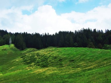 Pitoresk tepeler, orman ve mera Ostschweiz -: Appenzell Ausserrhoden Canton, İsviçre