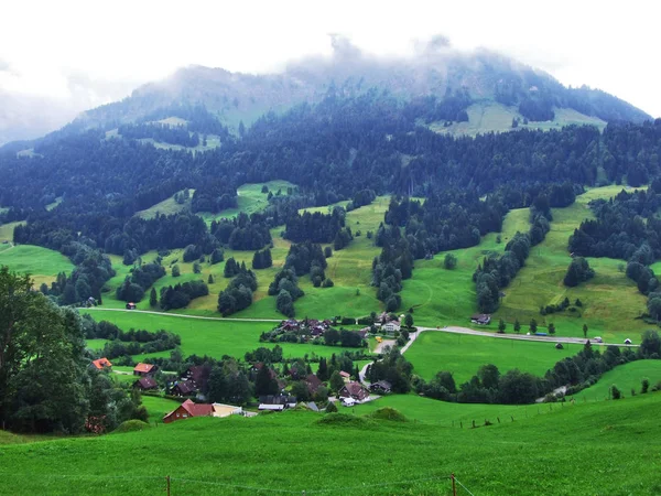 Живописные Холмы Леса Пастбища Ostschweiz Кантон Аппенцелль Аусерроден Швейцария — стоковое фото