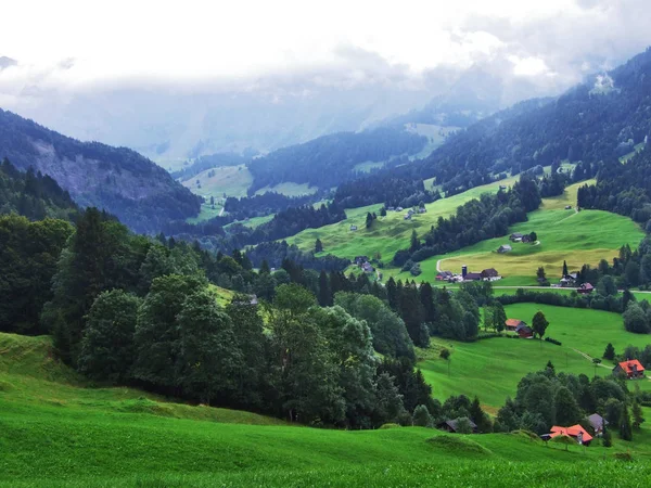 Schilderachtige Heuvels Bossen Weilanden Ostschweiz Kanton Appenzell Ausserrhoden Zwitserland — Stockfoto