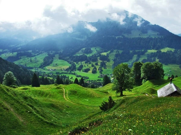 Malebné Hory Lesy Pastviny Ostschweiz Kanton Appenzell Ausserrhoden Švýcarsko — Stock fotografie