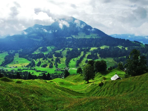 奥斯特施韦兹风景如画的丘陵 森林和牧场 瑞士阿彭策尔奥斯塞罗登州 — 图库照片
