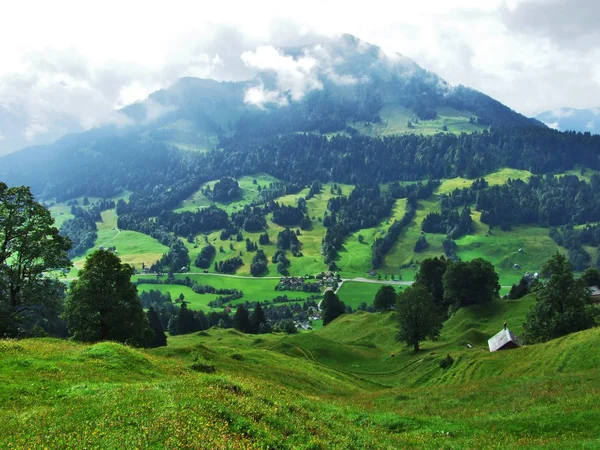 Pittoreska Kullar Skogar Och Betesmarker Ostschweiz Canton Appenzell Ausserrhoden Schweiz — Stockfoto