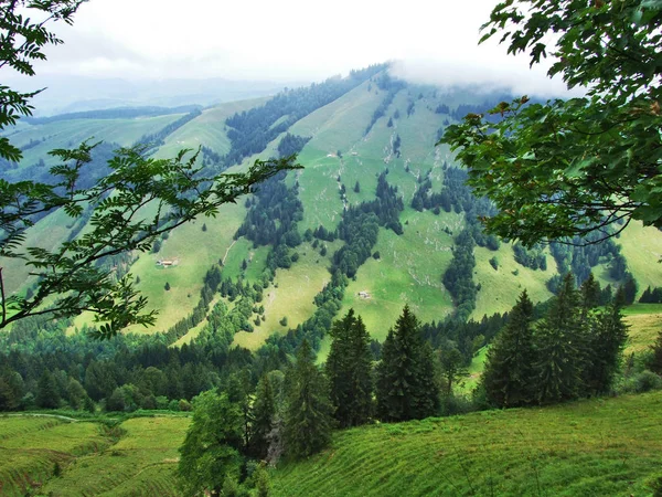 Colinas Pitorescas Florestas Pastagens Ostschweiz Cantão Appenzell Ausserrhoden Suíça — Fotografia de Stock