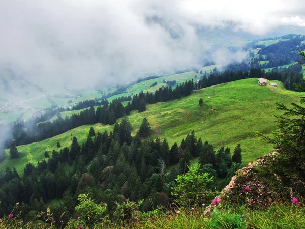 Malebné Hory Lesy Pastviny Ostschweiz Kanton Appenzell Ausserrhoden Švýcarsko — Stock fotografie