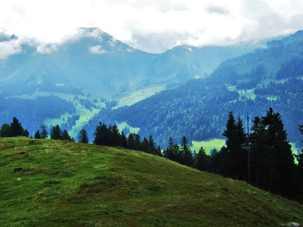 Colinas Pitorescas Florestas Pastagens Ostschweiz Cantão Appenzell Ausserrhoden Suíça — Fotografia de Stock