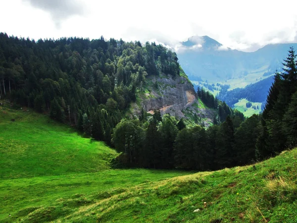 Pintorescas Colinas Bosques Pastos Ostschweiz Cantón Appenzell Ausserrhoden Suiza —  Fotos de Stock