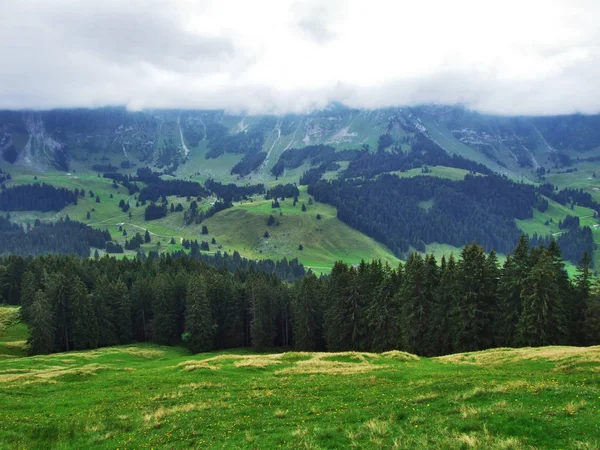 Malowniczych Wzgórz Lasów Pastwisk Ostschweiz Kanton Appenzell Ausserrhoden Szwajcaria — Zdjęcie stockowe