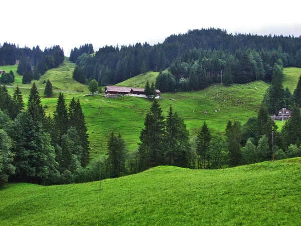 Malowniczych Wzgórz Lasów Pastwisk Ostschweiz Kanton Appenzell Ausserrhoden Szwajcaria — Zdjęcie stockowe