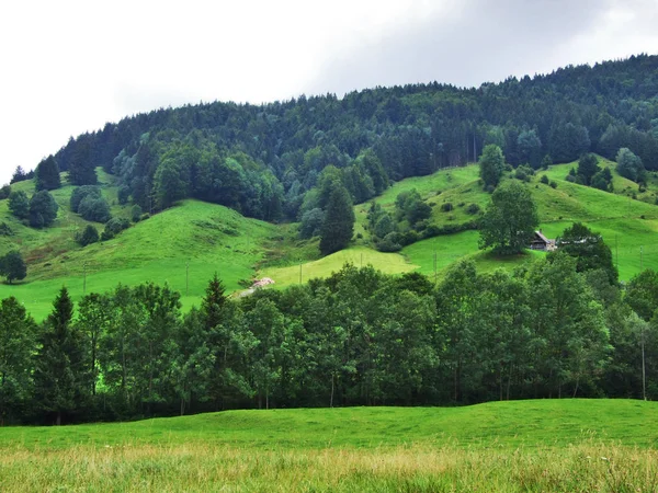 Malowniczych Wzgórz Lasów Pastwisk Ostschweiz Kanton Appenzell Ausserrhoden Szwajcaria — Zdjęcie stockowe