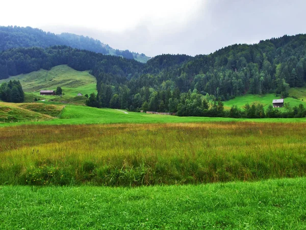 Pittoreska Kullar Skogar Och Betesmarker Ostschweiz Canton Appenzell Ausserrhoden Schweiz — Stockfoto