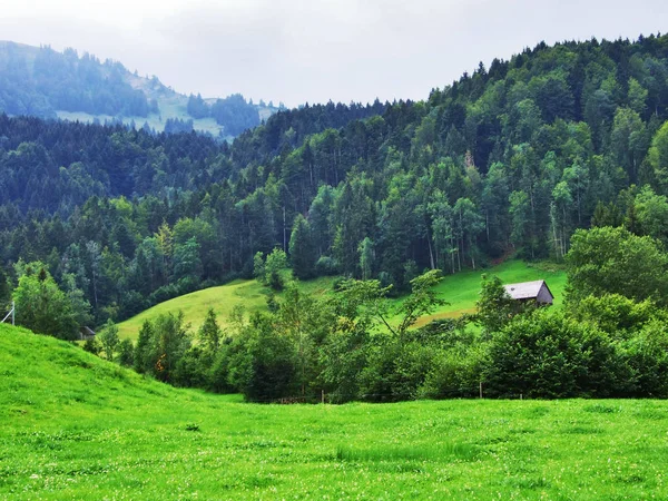 Pintorescas Colinas Bosques Pastos Ostschweiz Cantón Appenzell Ausserrhoden Suiza — Foto de Stock