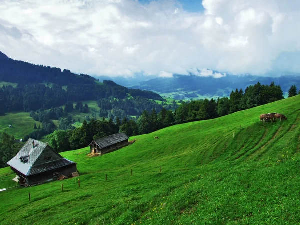 Farms Pastures Ostschweiz Region Canton Appenzell Ausserrhoden Switzerland — Stock Photo, Image