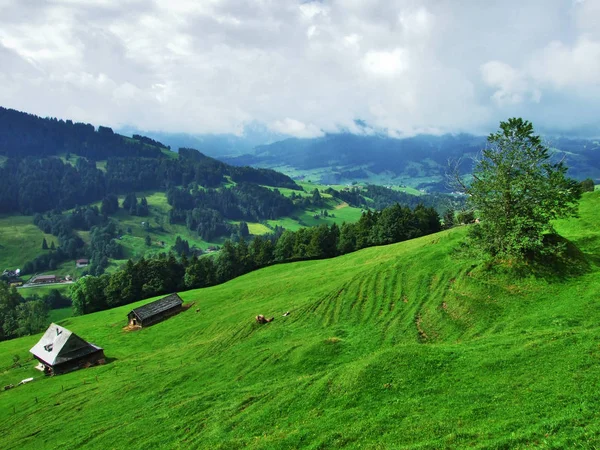 Gårdar Och Betesmarker Ostschweiz Regionen Canton Appenzell Ausserrhoden Schweiz — Stockfoto