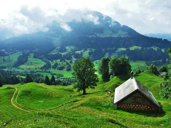 Farmy Pastviny Ostschweiz Regionu Kanton Appenzell Ausserrhoden Švýcarsko — Stock fotografie