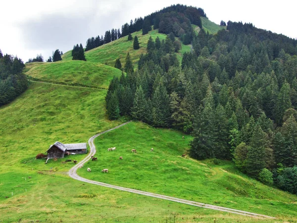 Granjas Pastos Región Ostschweiz Cantón Appenzell Ausserrhoden Suiza —  Fotos de Stock