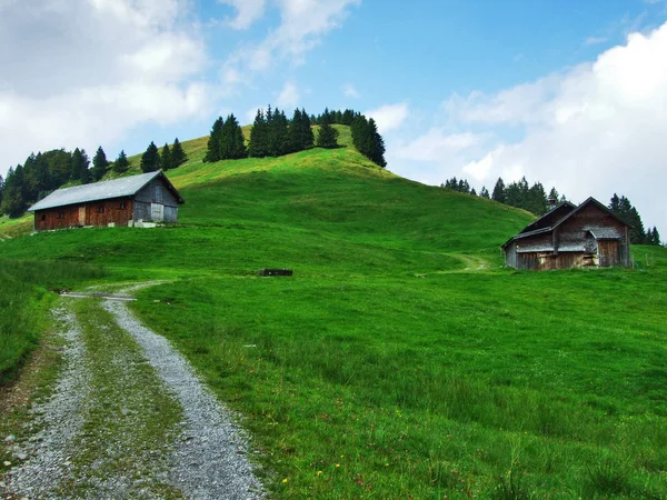 Fermes Pâturages Région Ostschweiz Canton Appenzell Ausserrhoden Suisse — Photo