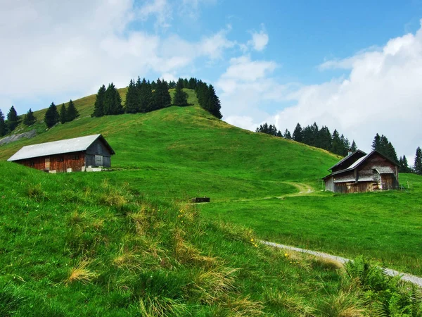 農場および Ostschweiz アッペンツェル Ausserrhoden カントン スイス連邦共和国の牧草地 — ストック写真