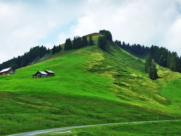 Farmy Pastviny Ostschweiz Regionu Kanton Appenzell Ausserrhoden Švýcarsko — Stock fotografie