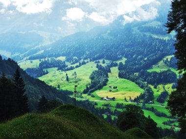 Bıyıklı ormanlar Ostschweiz bölgesi - Appenzell Ausserrhoden Canton, İsviçre