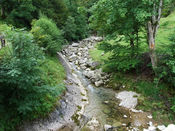 Fluxos Florestais Região Ostschweiz Cantão Appenzell Ausserrhoden Suíça — Fotografia de Stock