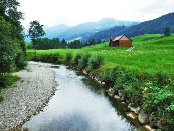 Долина Потоки Ostschweiz Області Кантону Аппенцелль Комуна Швейцарія — стокове фото