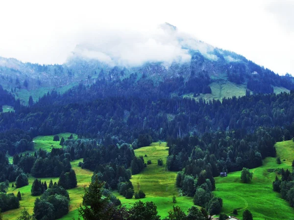 Forêts Subalpines Dans Région Ostschweiz Canton Appenzell Ausserrhoden Suisse — Photo