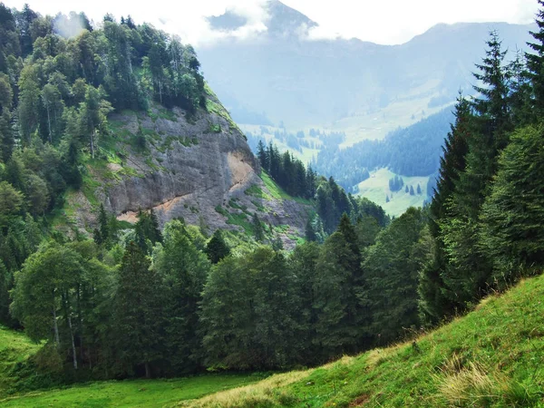 Florestas Subalpinas Região Ostschweiz Cantão Appenzell Ausserrhoden Suíça — Fotografia de Stock