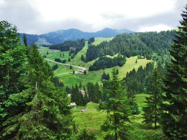 Florestas Subalpinas Região Ostschweiz Cantão Appenzell Ausserrhoden Suíça — Fotografia de Stock