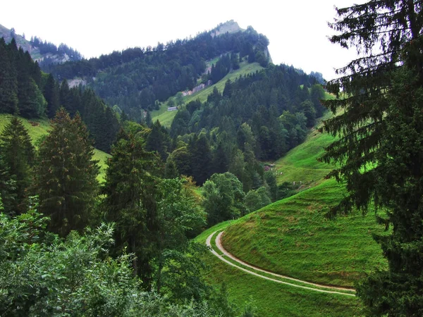 Subalpine Wälder Der Ostschweiz Kanton Appenzell Ausserrhoden Schweiz — Stockfoto