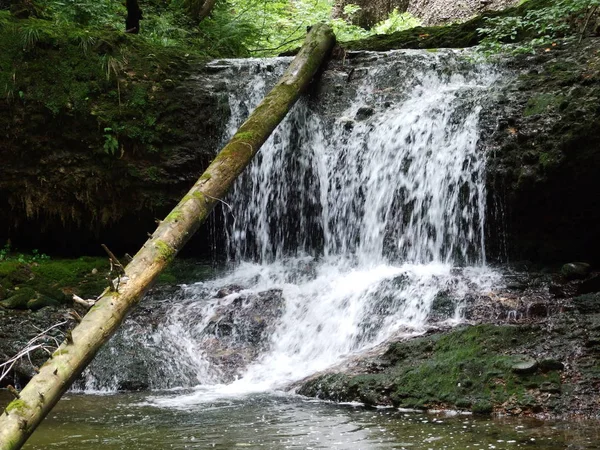 Cascadas Caídas Los Arroyos Región Ostschweiz Cantón Appenzell Ausserrhoden Suiza —  Fotos de Stock