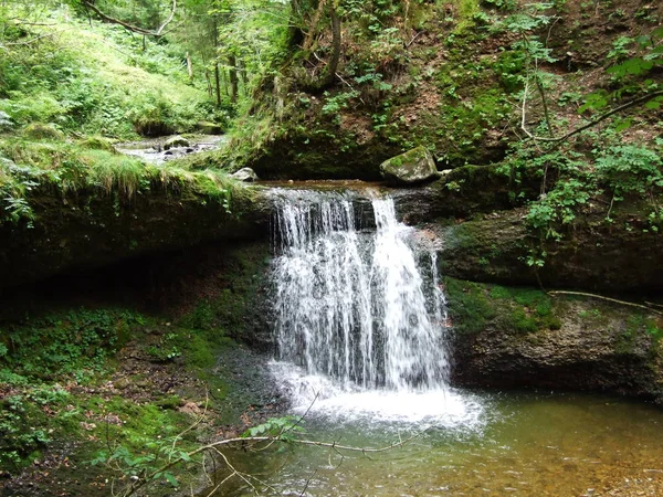 Cascadas Caídas Los Arroyos Región Ostschweiz Cantón Appenzell Ausserrhoden Suiza —  Fotos de Stock