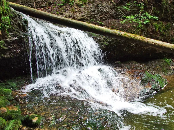 Cascadas Caídas Los Arroyos Región Ostschweiz Cantón Appenzell Ausserrhoden Suiza —  Fotos de Stock